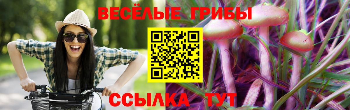 Псилоцибиновые грибы мицелий Будённовск