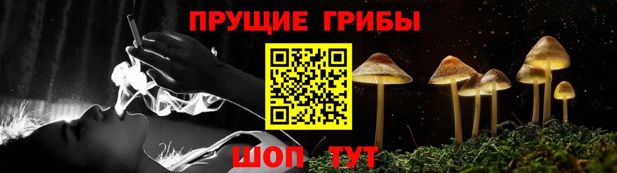 Галлюциногенные грибы прущие грибы  Галлюциногенные грибы MAGIC MUSHROOMS  Будённовск  Вход с VPN 
